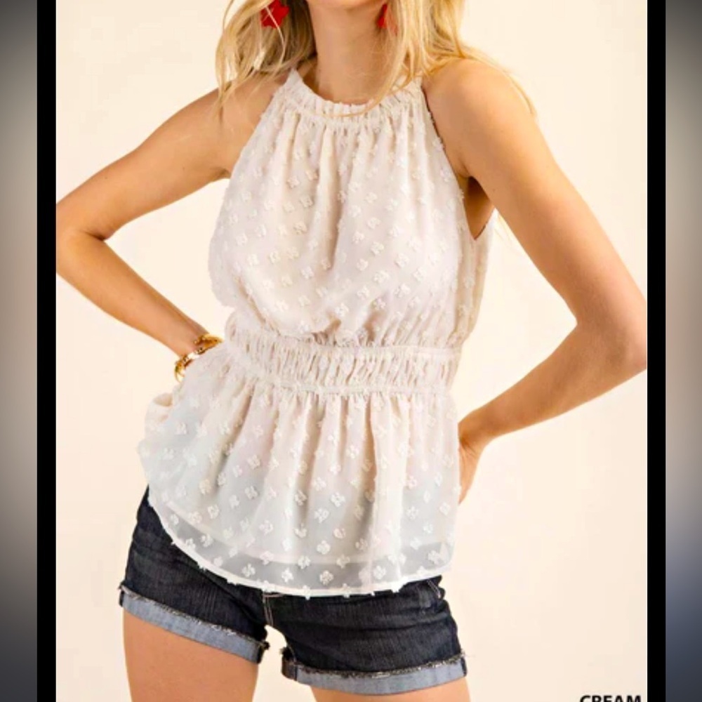 Kori Dotted Swiss Chiffon Halter Neck Top, size Small